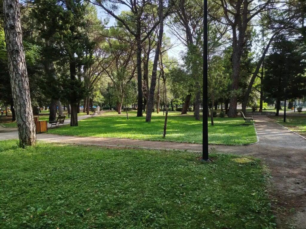 Zelenilo traži sedam miliona eura za 2027: Podgorica do kraja godine dobija 80.000 kvadrata uređenih zelenih površina